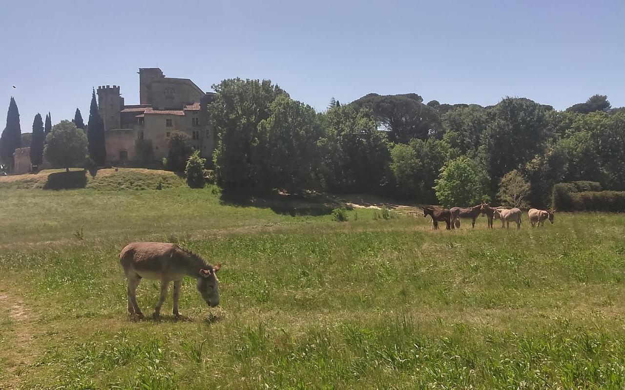 Une Chambre En Luberon Puyvert Экстерьер фото