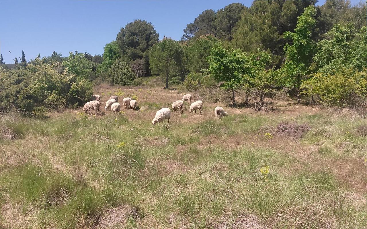 Une Chambre En Luberon Puyvert Экстерьер фото